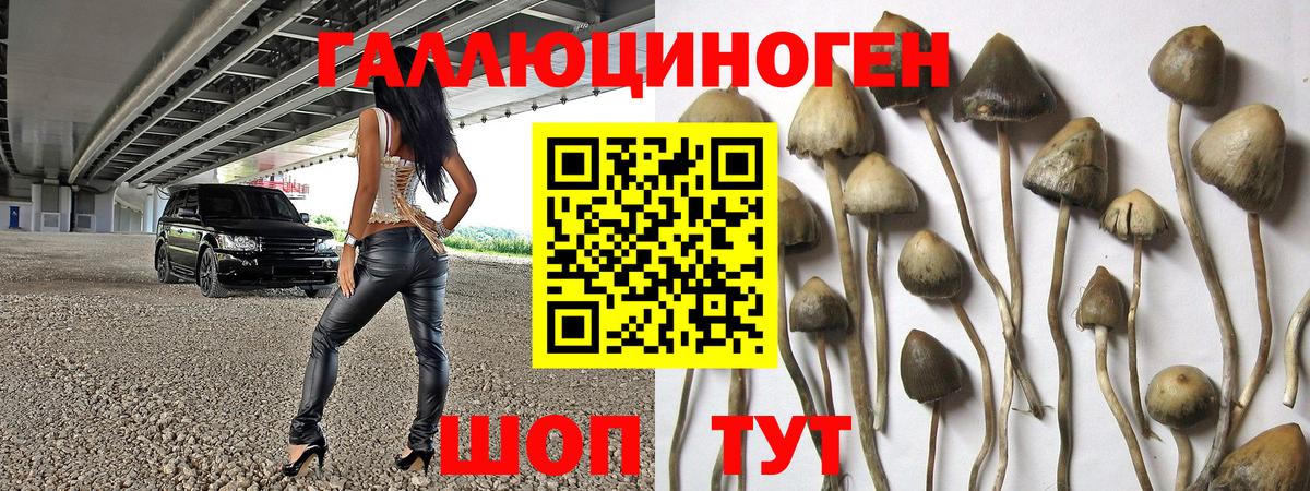 Галлюциногенные грибы прущие грибы Ликино-Дулёво