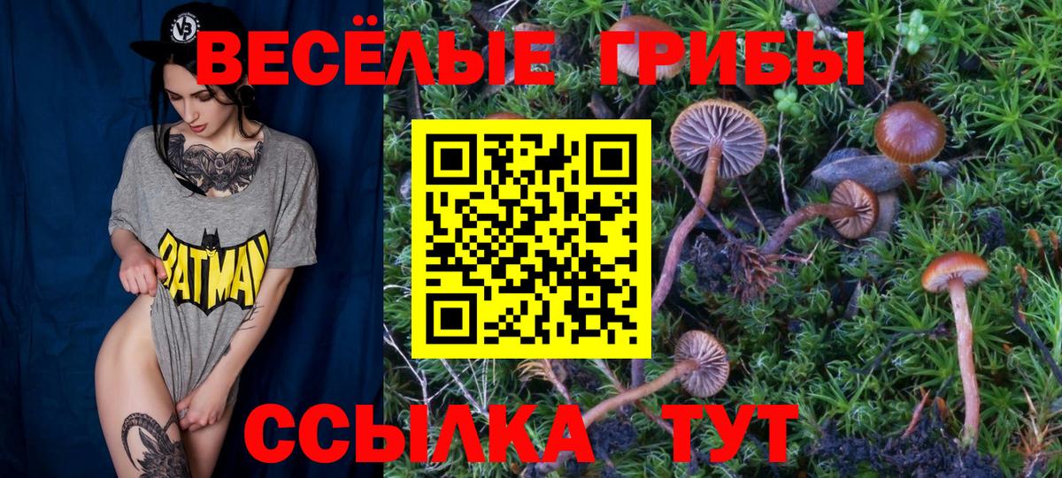 Ликино-Дулёво  Псилоцибиновые грибы Cubensis  где можно купить наркотик  Вход с VPN 